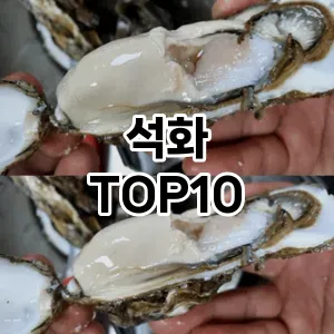 석화 TOP10