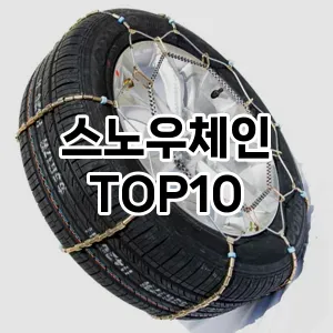 스노우체인 TOP10