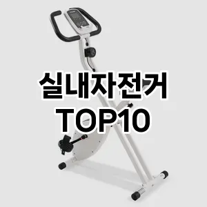 실내자전거 TOP10