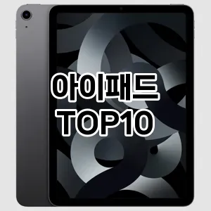 아이패드 TOP10