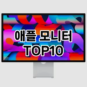 애플 모니터 TOP10