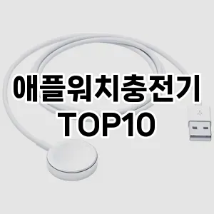 애플워치충전기 TOP10