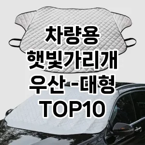 차량용 햇빛가리개 우산 -대형 TOP10