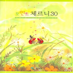 포인트 체르니 30