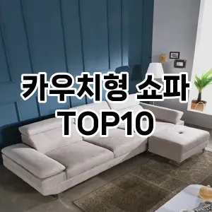 카우치형 쇼파  TOP10