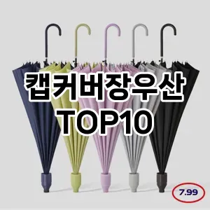 캡커버장우산 TOP10