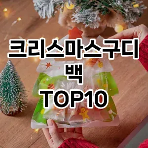 크리스마스구디백 TOP10