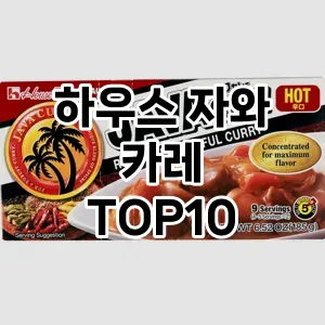 하우스 자와 카레 TOP10