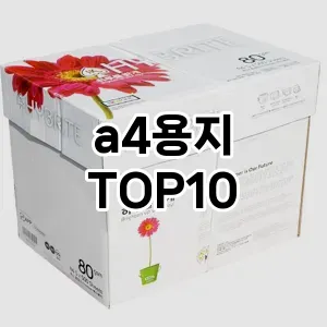 리쥬란팩 TOP10