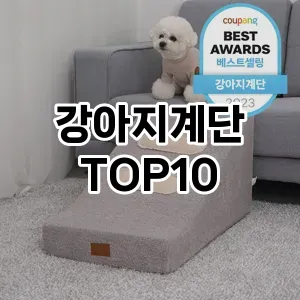 리쥬란팩 TOP10