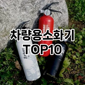 리쥬란팩 TOP10