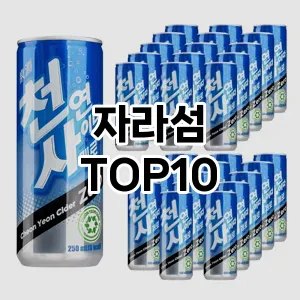 kwakbos TOP10쿠팡