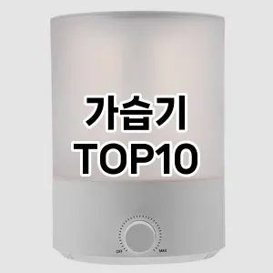 가습기 추천 TOP10