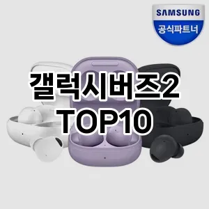 갤럭시버즈2 추천 TOP10