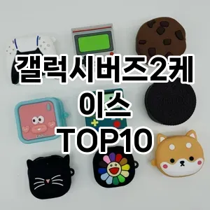 갤럭시버즈2케이스 추천 TOP10