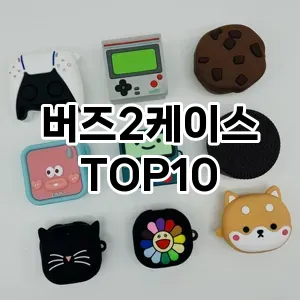 버즈2케이스 추천 TOP10