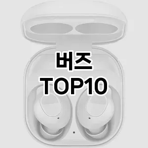 버즈 추천 TOP10