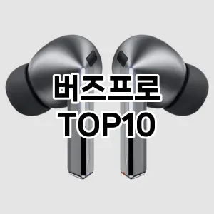 버즈프로 추천 TOP10