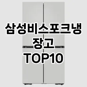 삼성비스포크냉장고 추천 TOP10