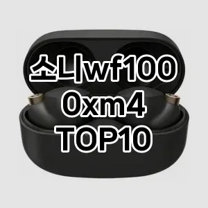 소니wf1000xm4 추천 TOP10