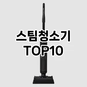 스팀청소기 추천 TOP10