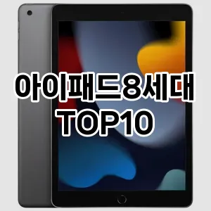 아이패드8세대 추천 TOP10