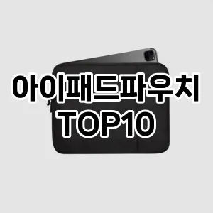 아이패드파우치 추천 TOP10