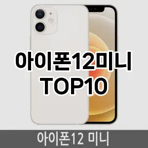 아이폰12미니 추천 TOP10