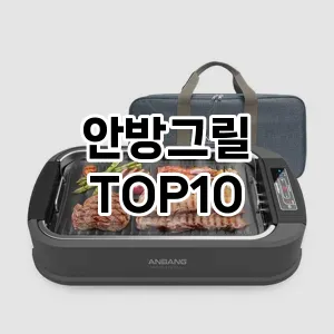 안방그릴 추천 TOP10