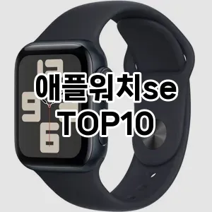 애플워치se 추천 TOP10