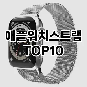 애플워치스트랩 추천 TOP10