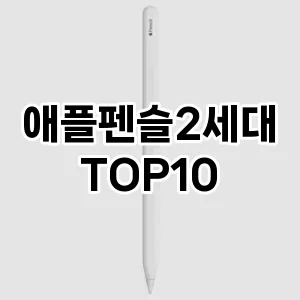 애플펜슬2세대 추천 TOP10