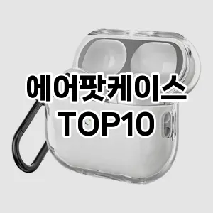 에어팟케이스 추천 TOP10