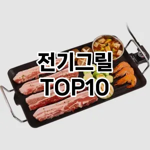 전기그릴 추천 TOP10