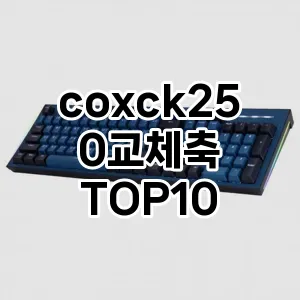 coxck250교체축 추천 TOP10