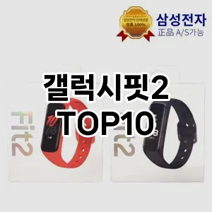 갤럭시핏2 추천 TOP10