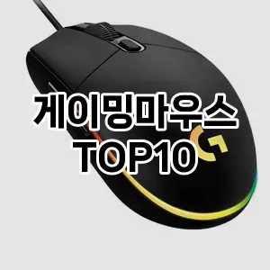 게이밍마우스 추천 TOP10