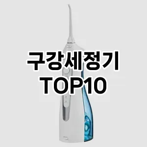 구강세정기 추천 TOP10