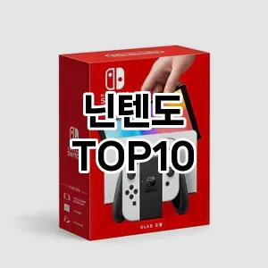 닌텐도 추천 TOP10