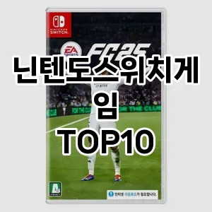 닌텐도스위치게임 추천 TOP10