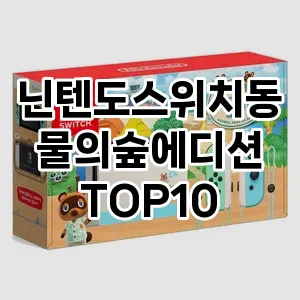 닌텐도스위치동물의숲에디션 추천 TOP10