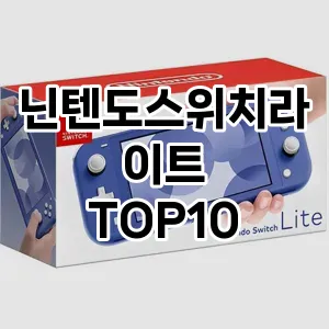 닌텐도스위치라이트 추천 TOP10