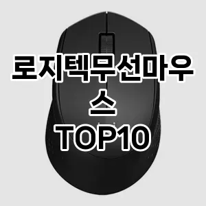 로지텍무선마우스 추천 TOP10