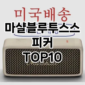 마샬블루투스스피커 추천 TOP10