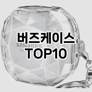 버즈케이스 추천 TOP10