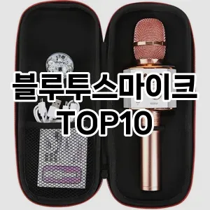 블루투스마이크 추천 TOP10