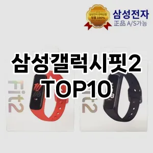 삼성갤럭시핏2 추천 TOP10