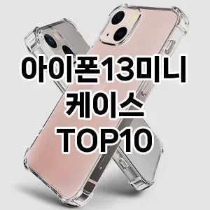 아이폰13미니케이스 추천 TOP10