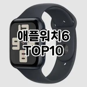 애플워치6 추천 TOP10