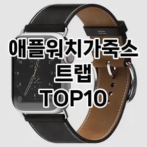 애플워치가죽스트랩 추천 TOP10